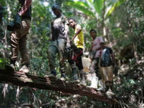 Reforestation efforts cross all bridges to enrich