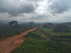 Forest fragmentation by highway development