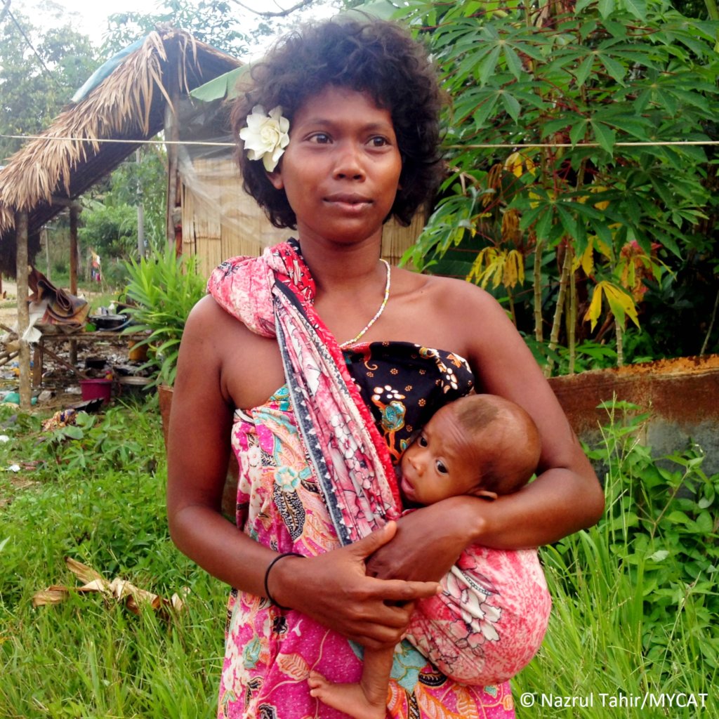 Protect the Malayan Tiger and restore its habitat