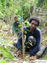 Reforestation work