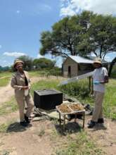 BUAN interns drying samples in our solar oven.