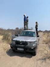 Scoping for elephants