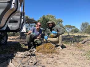 Dung sample collection in the field