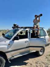 Researchers photographing elephants in the field