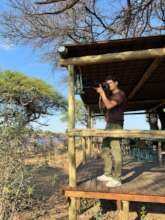 From the camp deck, Arvid observes the elephants