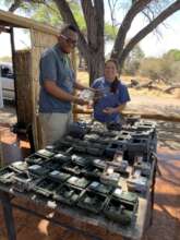 Camera traps being prepared for deployment