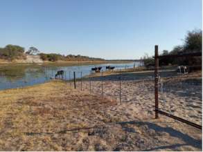 New National Park fence in place along the Boteti