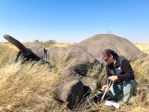 Taking important data while he sleeps.