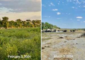 Unusually harsh and rapid environmental changes.