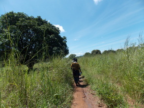 Long walk to the garden