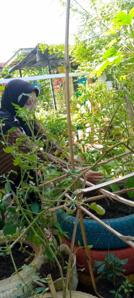 Saih Yusah urban garden