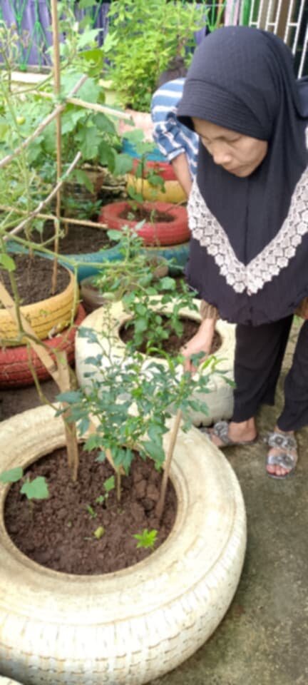gathering food for lunch from school garden