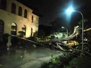 Uprooted trees on campus of Sulu State College
