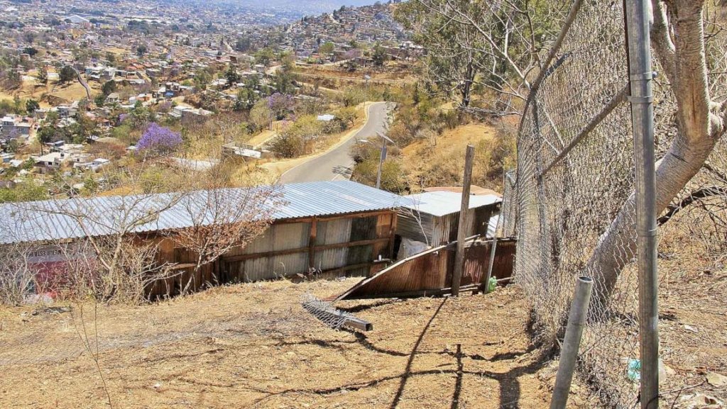 Monte Alban Community