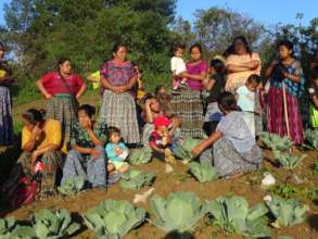 Overcome Covid-19 effects in Q'eqchi 'villages