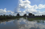 Emergency WASH Services for IDPs in Bentiu S.Sudan