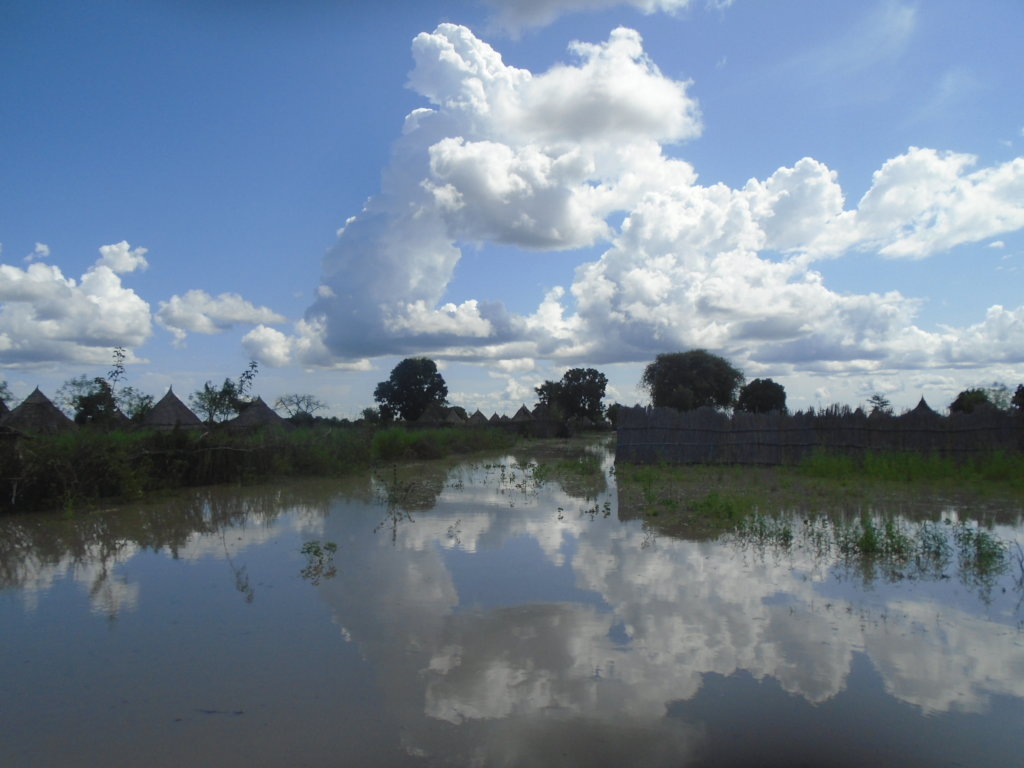 Emergency WASH Services for IDPs in Bentiu S.Sudan