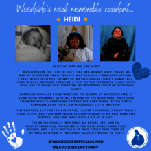 Heidi's Story