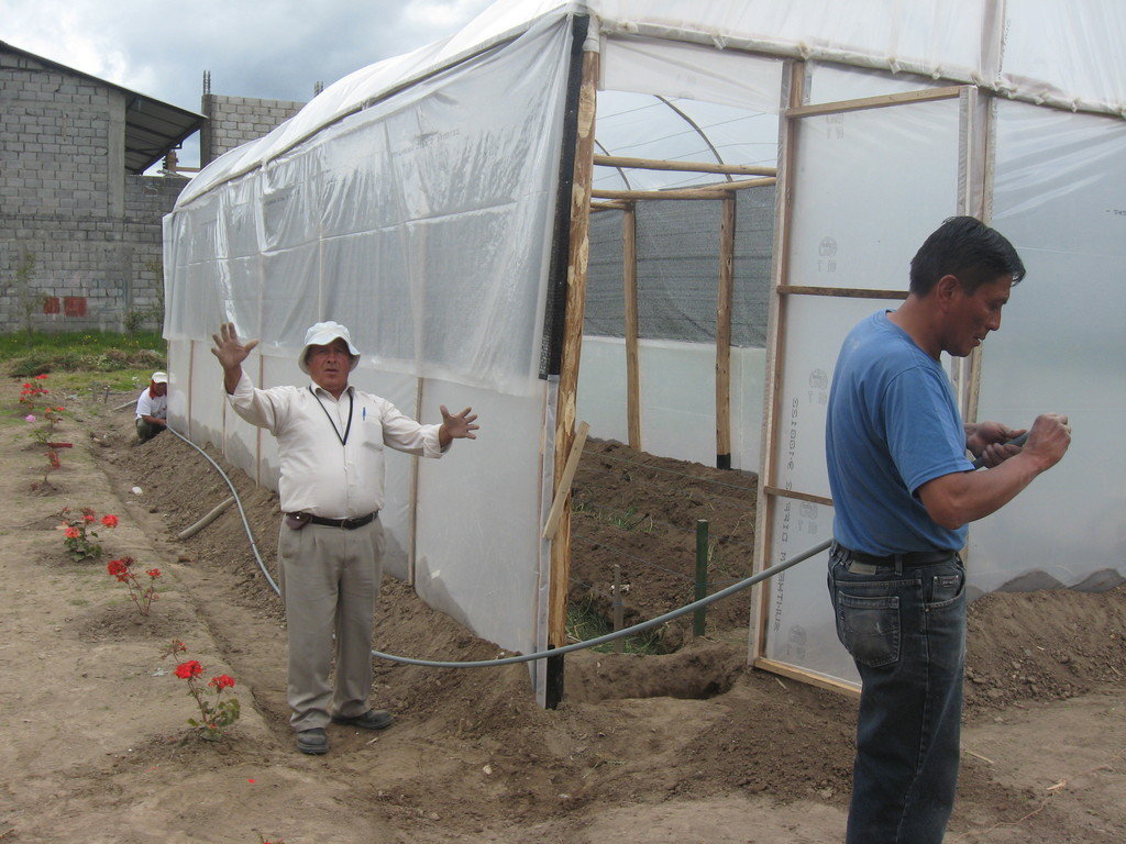 Organic Urban Agriculture in Quito, Ecuador