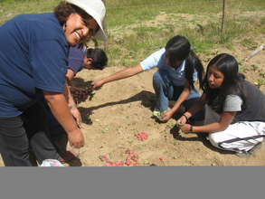 Planting Gardens