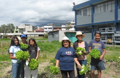 Organic Urban Agriculture in Quito, Ecuador