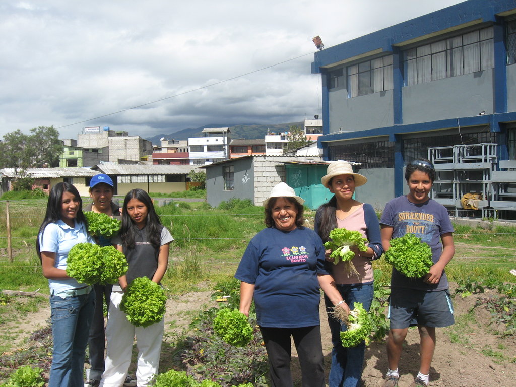 Organic Urban Agriculture in Quito, Ecuador