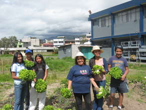 Organic Urban Agriculture in Quito, Ecuador
