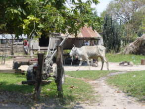 Remote village in Cambodia