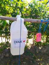 local innovation!