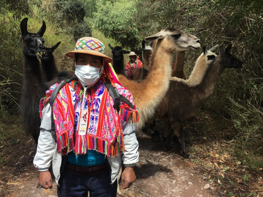 Donate to Llama Pack Project