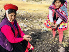 4. Juana and Lourdes gathering raw material.