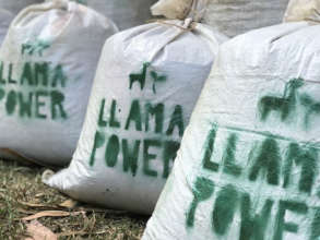 6. Llama Power, llama-based natural fertilizer.