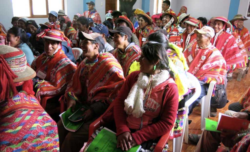 Help 85+ llama farmers in Peru access fair work