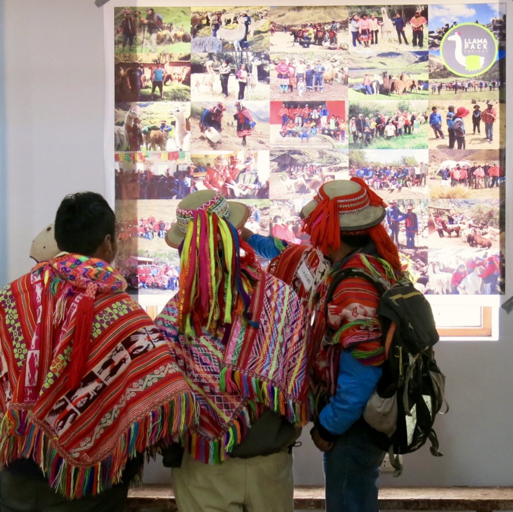 Help 85+ llama farmers in Peru access fair work