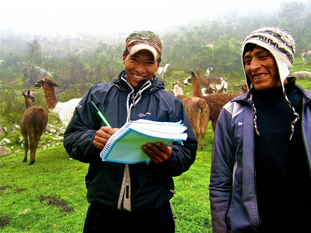 Help 85+ llama farmers in Peru access fair work