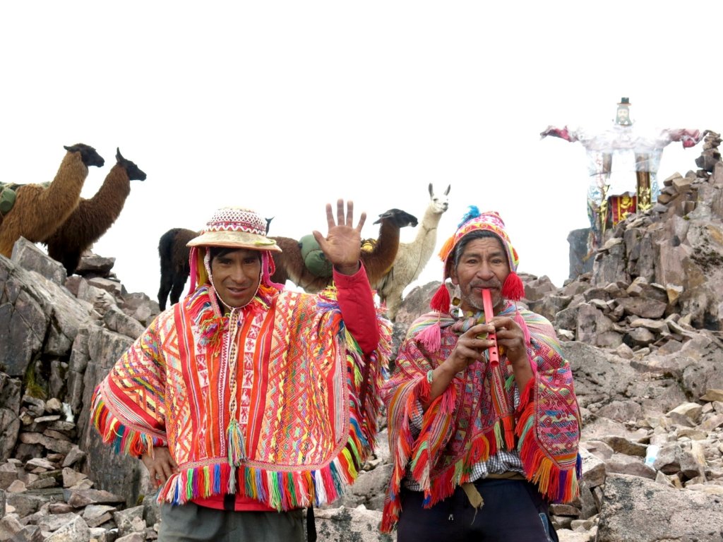 Help 85+ llama farmers in Peru access fair work