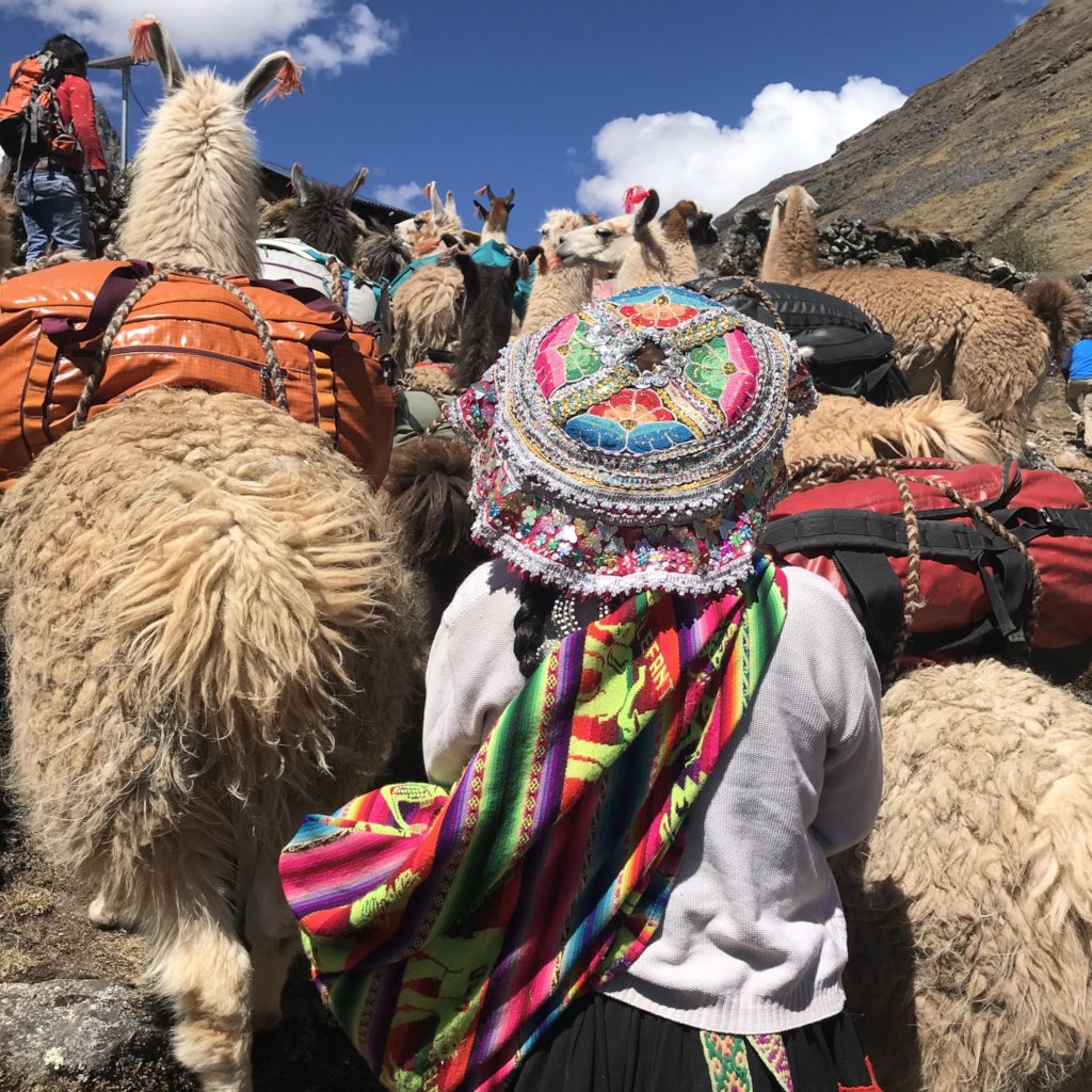 Help 85+ llama farmers in Peru access fair work