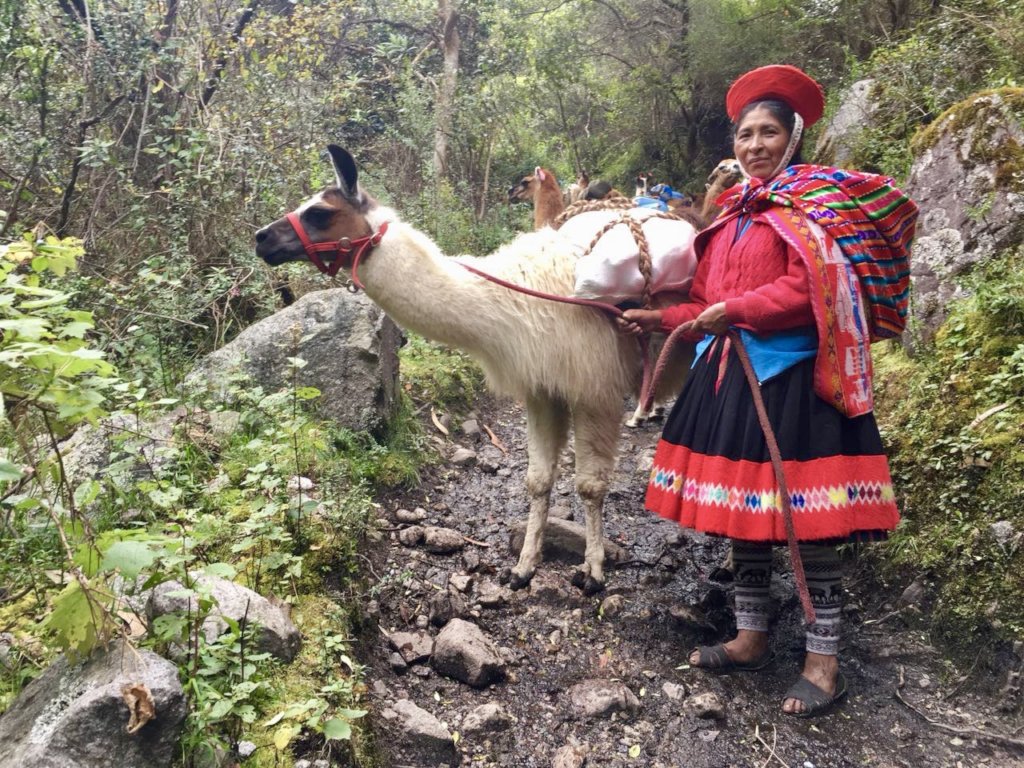 Help 85+ llama farmers in Peru access fair work