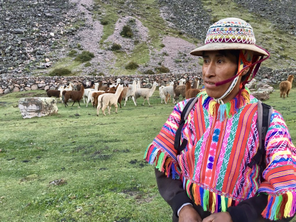 Help 85+ llama farmers in Peru access fair work