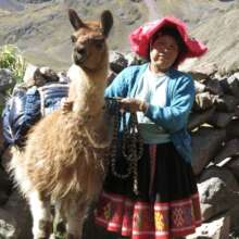 Help 85+ llama farmers in Peru access fair work