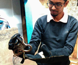 Snake Rescue From a House in North 24 Paraganas