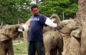 Support Kaziranga's Flood-Hit Wildlife in India