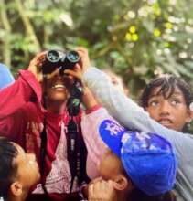 Learning about our forests