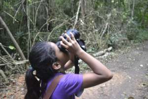 In the dry forest nearby