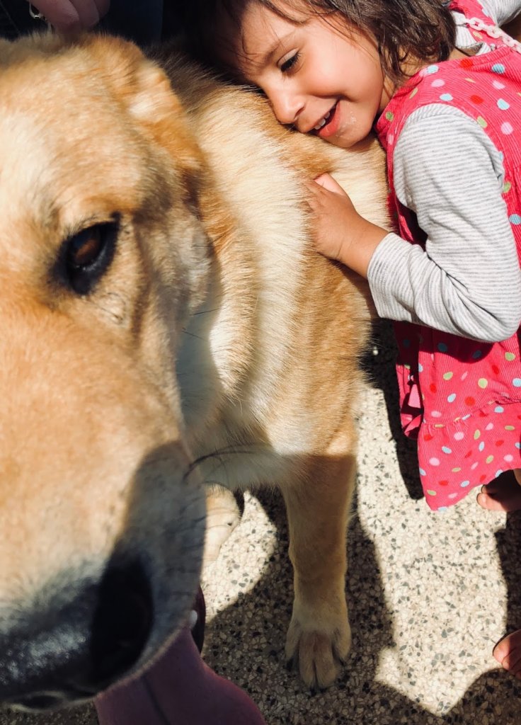 Equip a Day Center for Orphans in North Macedonia