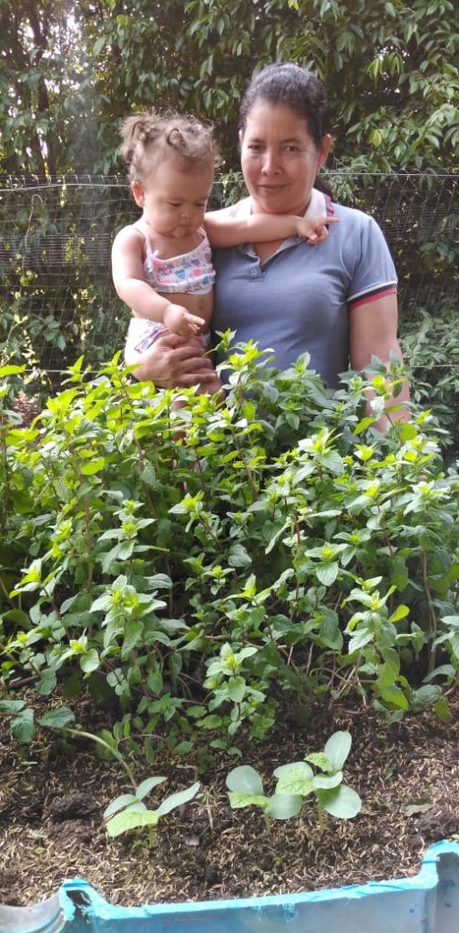 Vegetable Gardens for Food Security in Ayapel