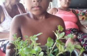 Vegetable Gardens for Food Security in Ayapel