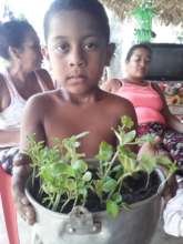Vegetable Gardens for Food Security in Ayapel