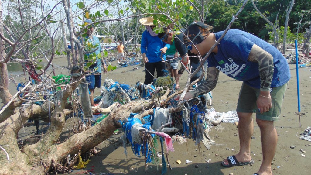Remove Plastics From Ocean