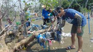 We remove plastics from ocean.
